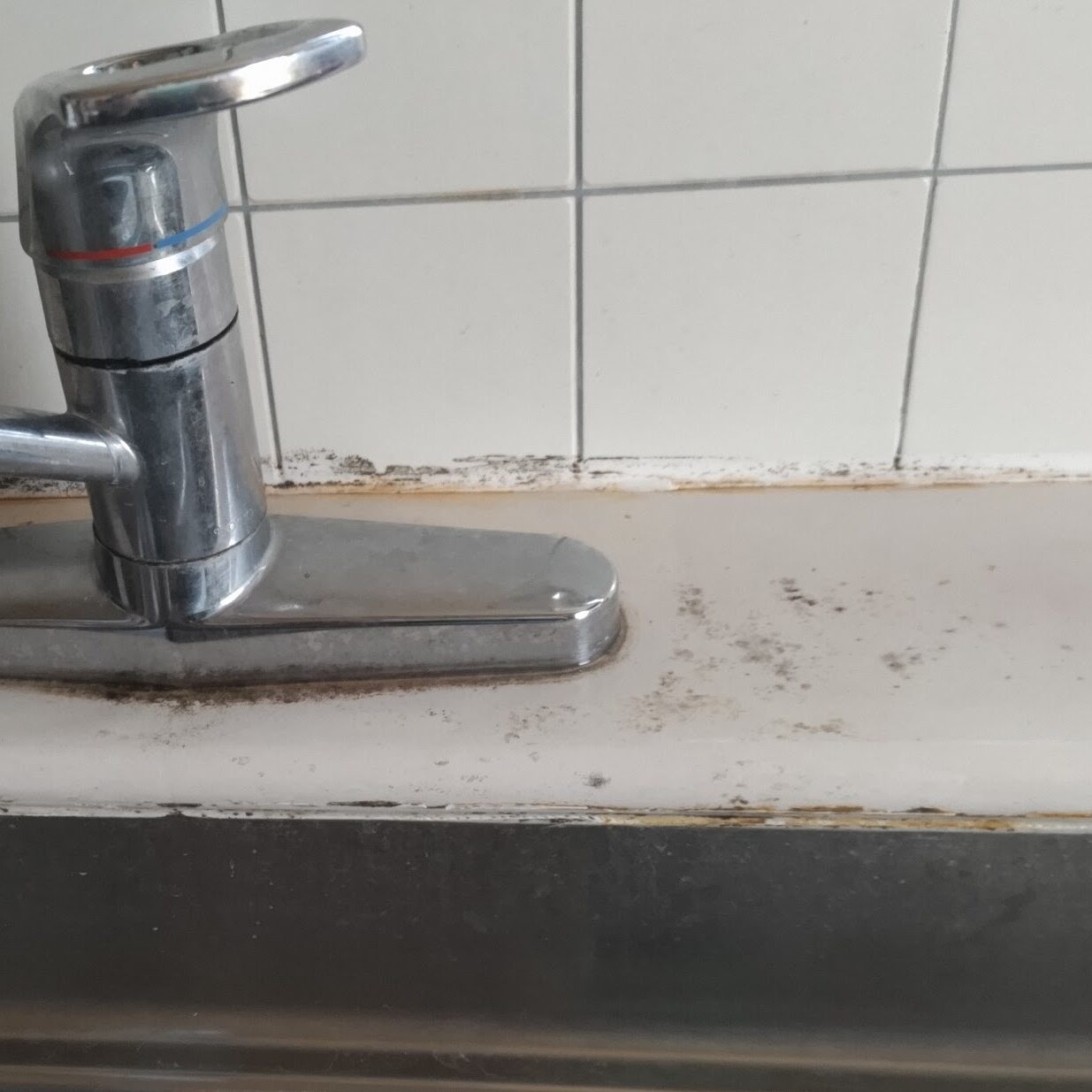 水道周りにカビが汚く生えている様子